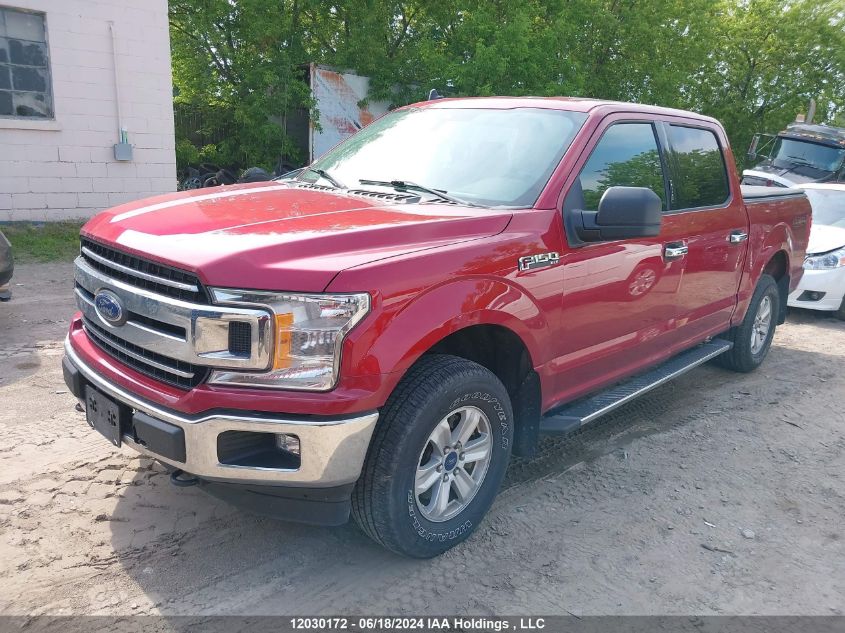 2019 Ford F-150 Xlt VIN: 1FTEW1EB0KFC71886 Lot: 12030172