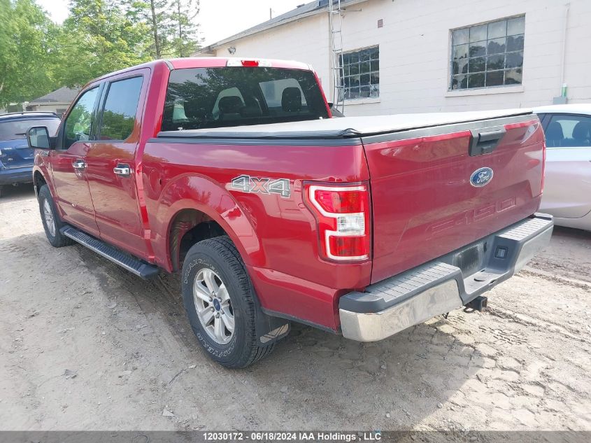 2019 Ford F-150 Xlt VIN: 1FTEW1EB0KFC71886 Lot: 12030172