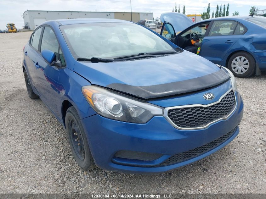 2015 Kia Forte VIN: KNAFK4A60F5294894 Lot: 12030184