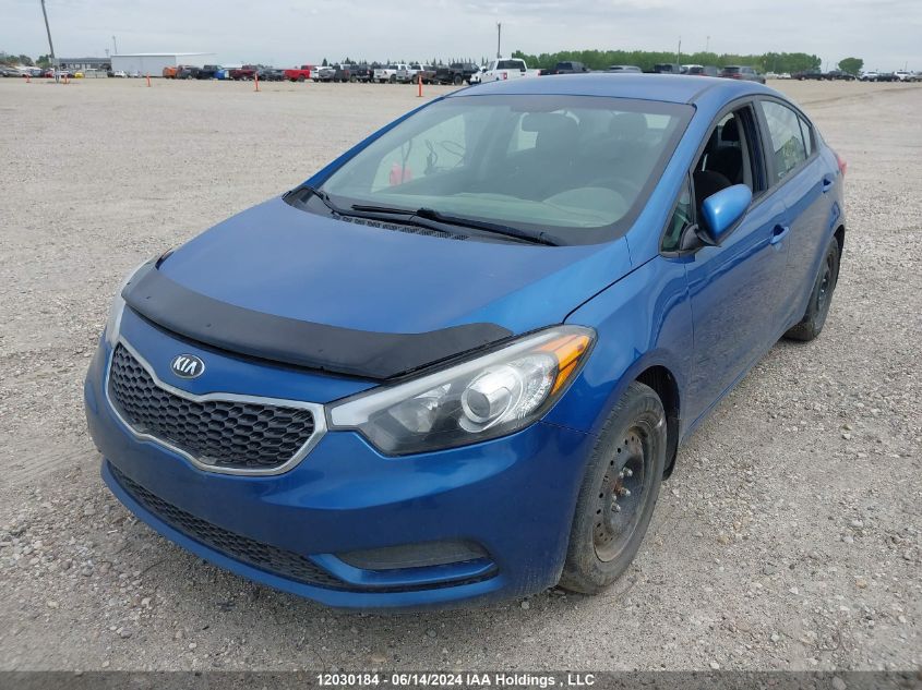 2015 Kia Forte VIN: KNAFK4A60F5294894 Lot: 12030184