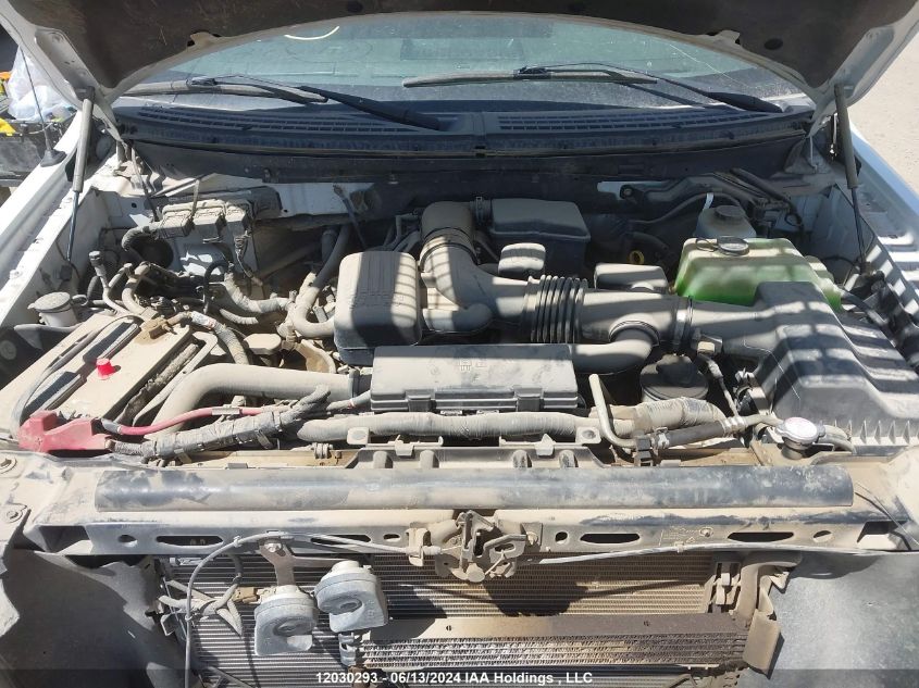 2010 Ford F-150 VIN: 1FTFX1EV2AKE61691 Lot: 12030293