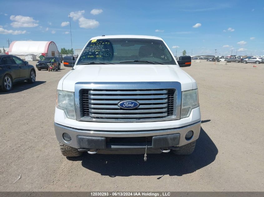 2010 Ford F-150 VIN: 1FTFX1EV2AKE61691 Lot: 12030293