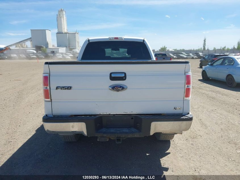 2010 Ford F-150 VIN: 1FTFX1EV2AKE61691 Lot: 12030293