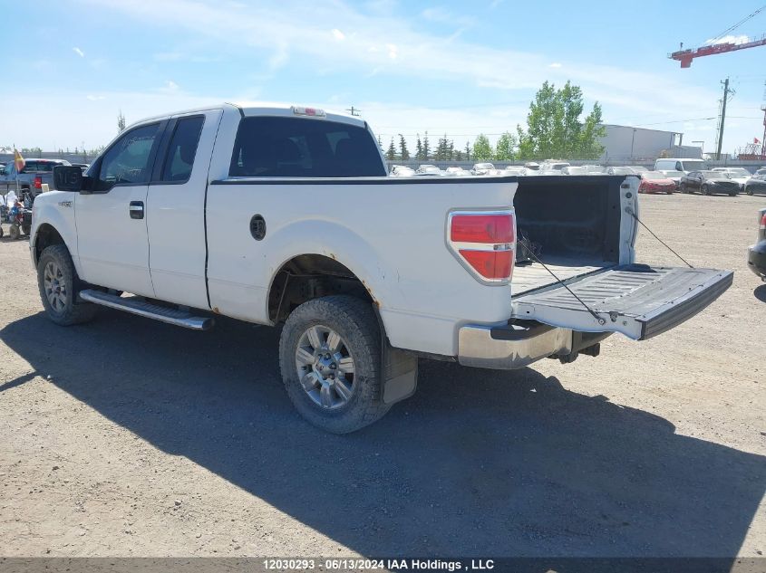 2010 Ford F-150 VIN: 1FTFX1EV2AKE61691 Lot: 12030293