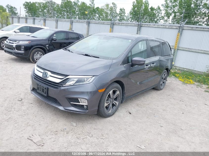 2020 Honda Odyssey VIN: 5FNRL6H6XLB501784 Lot: 12030309