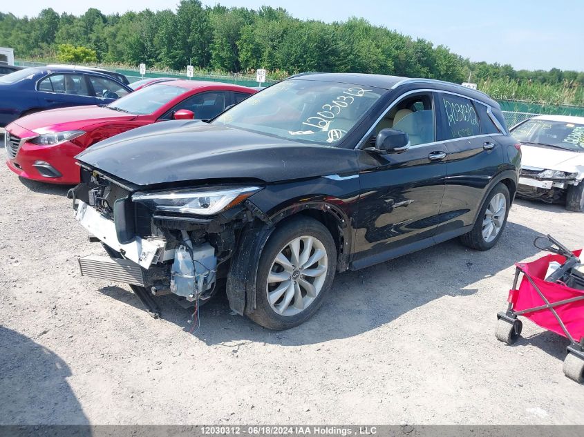 2019 Infiniti Qx50 VIN: 3PCAJ5M33KF109981 Lot: 12030312