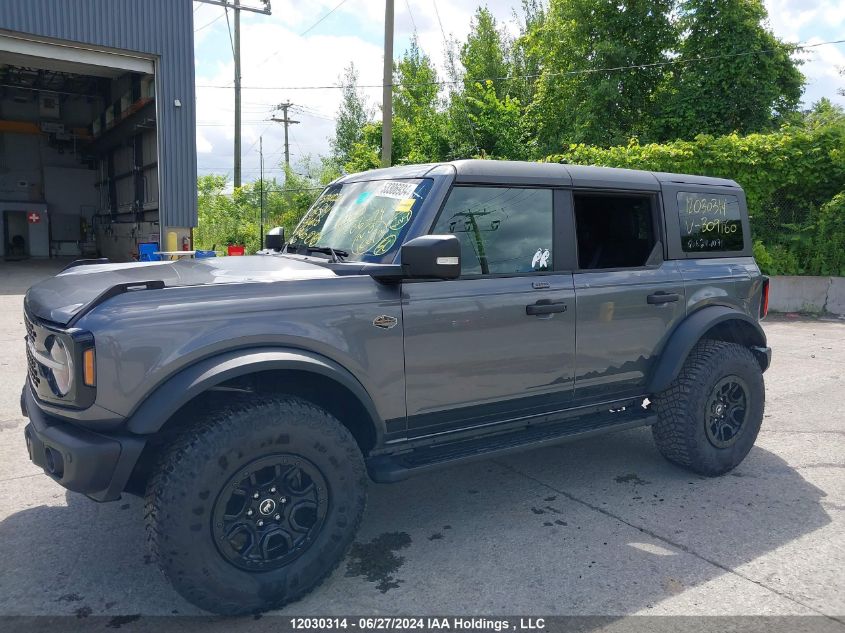 2023 Ford Bronco Wildtrak VIN: 1FMEE5DP6PLB09160 Lot: 12030314