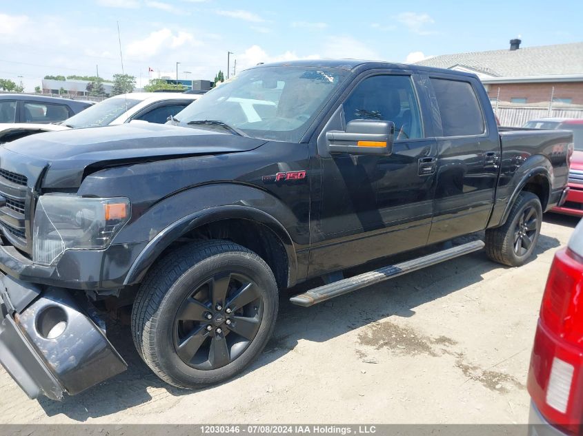 2013 Ford F150 Supercrew VIN: 1FTFW1EF5DFC51157 Lot: 12030346