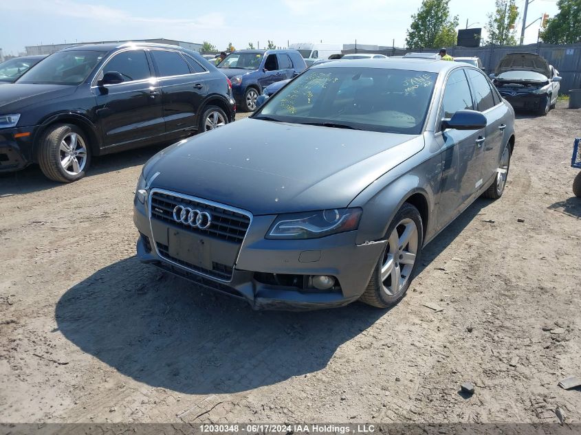 2012 Audi A4 VIN: WAUFFCFL9CA117146 Lot: 12030348