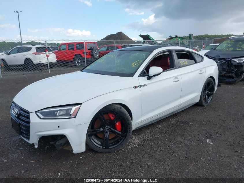 2019 Audi S5 Sportback VIN: WAUC4CF55KA042907 Lot: 12030472