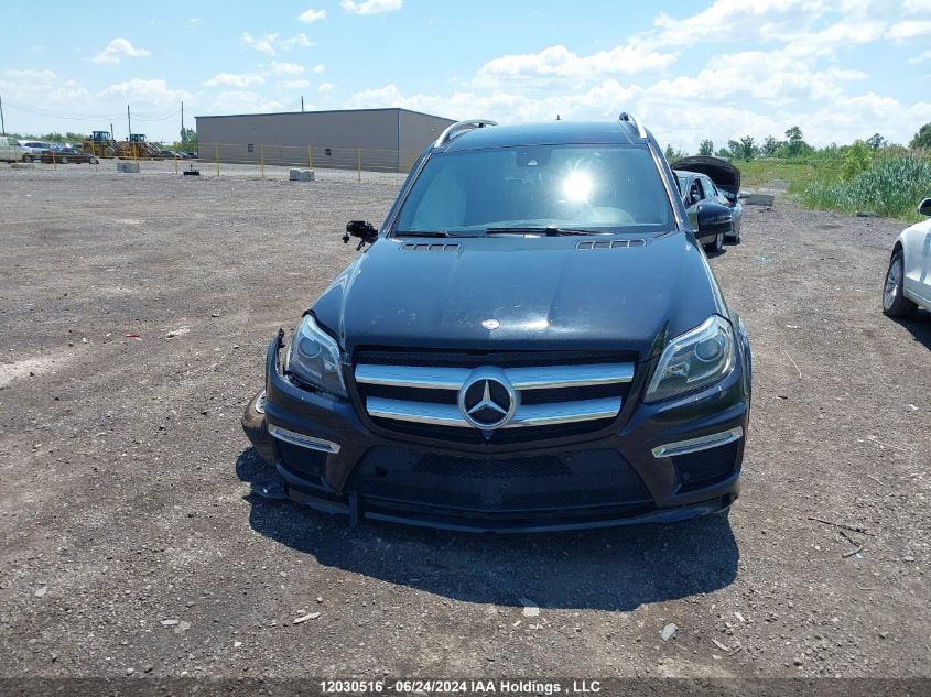 2014 Mercedes-Benz Gl-Class VIN: 4JGDF7DE7EA432824 Lot: 12030516