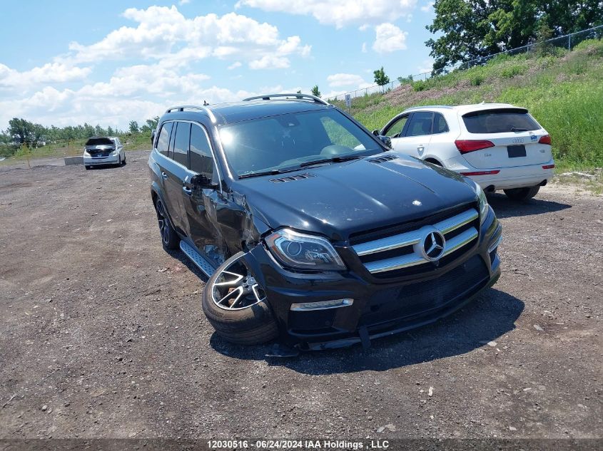 2014 Mercedes-Benz Gl-Class VIN: 4JGDF7DE7EA432824 Lot: 12030516