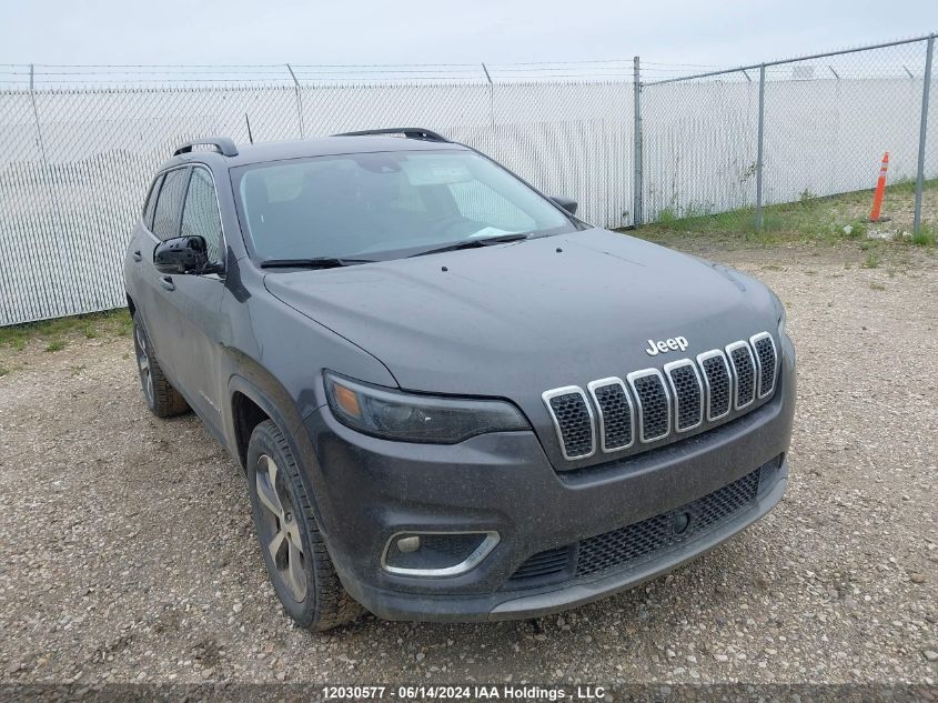 2022 Jeep Cherokee Limited VIN: 1C4PJMDX3ND516671 Lot: 12030577