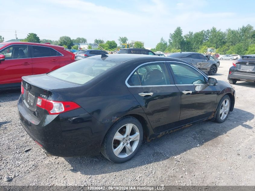 2009 Acura Tsx VIN: JH4CU26669C801132 Lot: 12030642