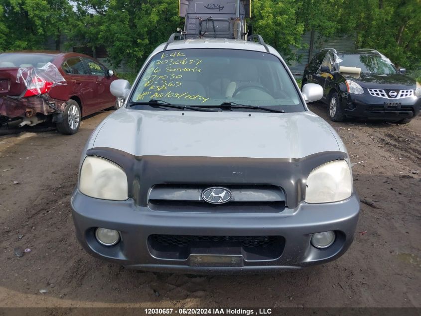 2006 Hyundai Santa Fe VIN: KM8SB73D86U077030 Lot: 12030657