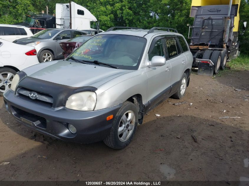 2006 Hyundai Santa Fe VIN: KM8SB73D86U077030 Lot: 12030657