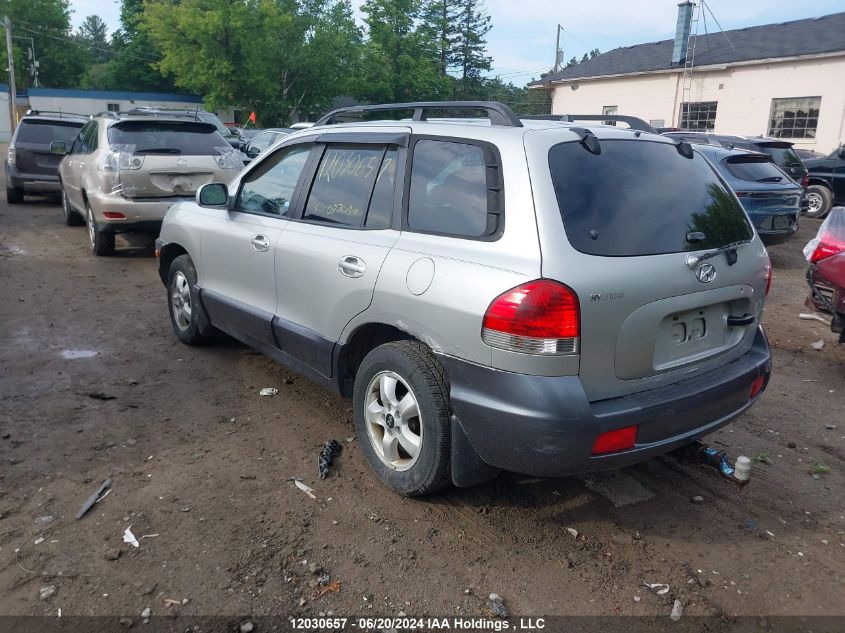 2006 Hyundai Santa Fe VIN: KM8SB73D86U077030 Lot: 12030657