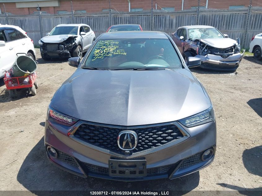 2020 Acura Tlx VIN: 19UUB3F86LA801056 Lot: 12030712