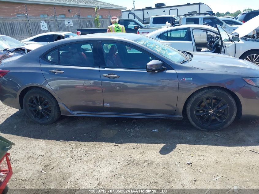 2020 Acura Tlx VIN: 19UUB3F86LA801056 Lot: 12030712