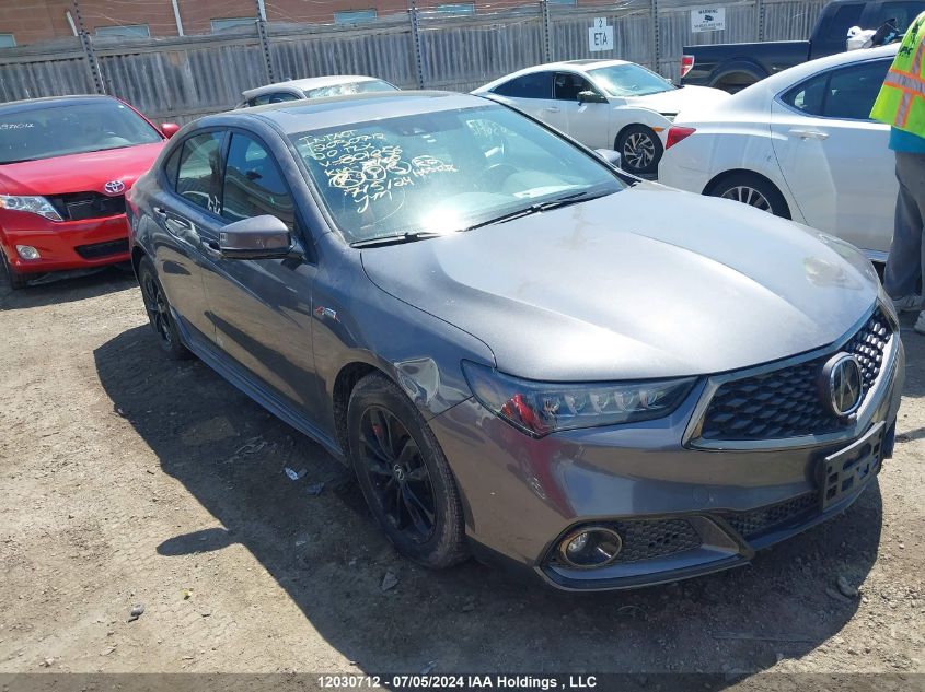 19UUB3F86LA801056 2020 Acura Tlx