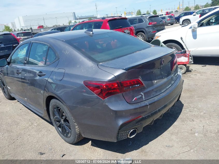 2020 Acura Tlx VIN: 19UUB3F86LA801056 Lot: 12030712