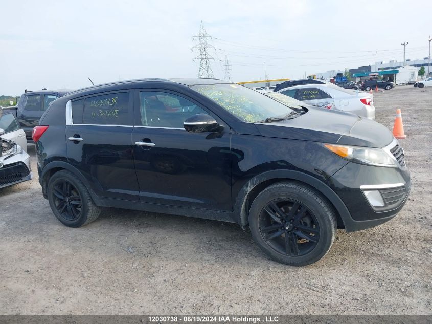 2012 Kia Sportage VIN: KNDPC3A2XC7325645 Lot: 12030738