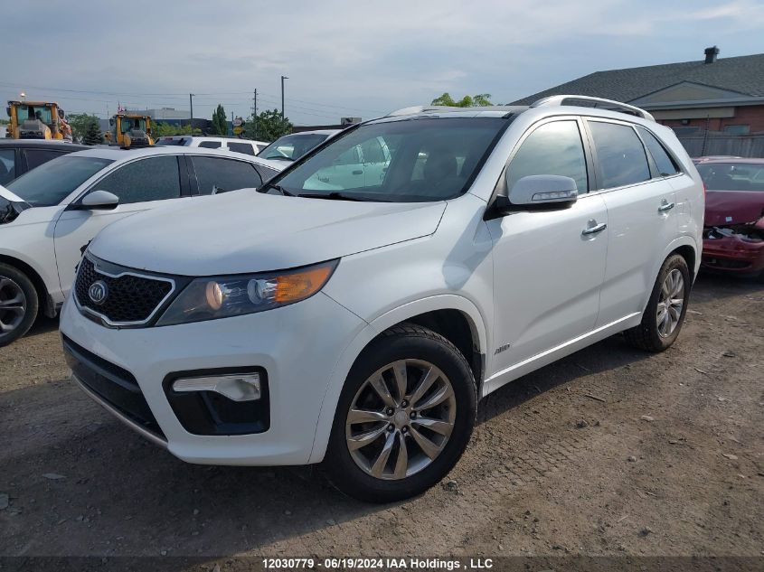 2013 Kia Sorento VIN: 5XYKWDA21DG312441 Lot: 12030779