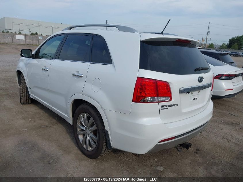 2013 Kia Sorento VIN: 5XYKWDA21DG312441 Lot: 12030779