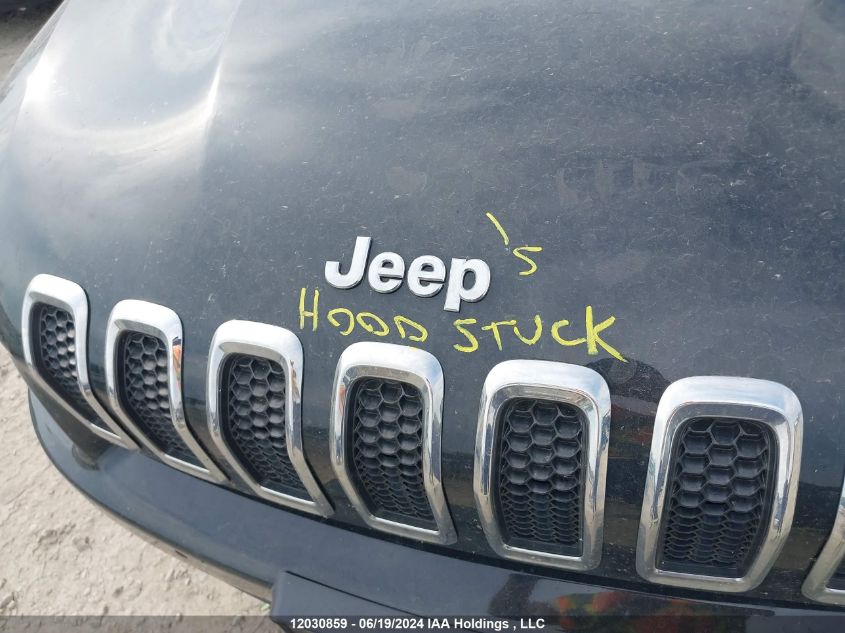 2017 Jeep Cherokee Limited VIN: 1C4PJMDS7HD214809 Lot: 12030859