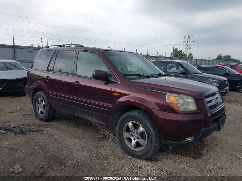 2008 Honda Pilot VIN: 5FNYF18678B501562 Lot: 12030877