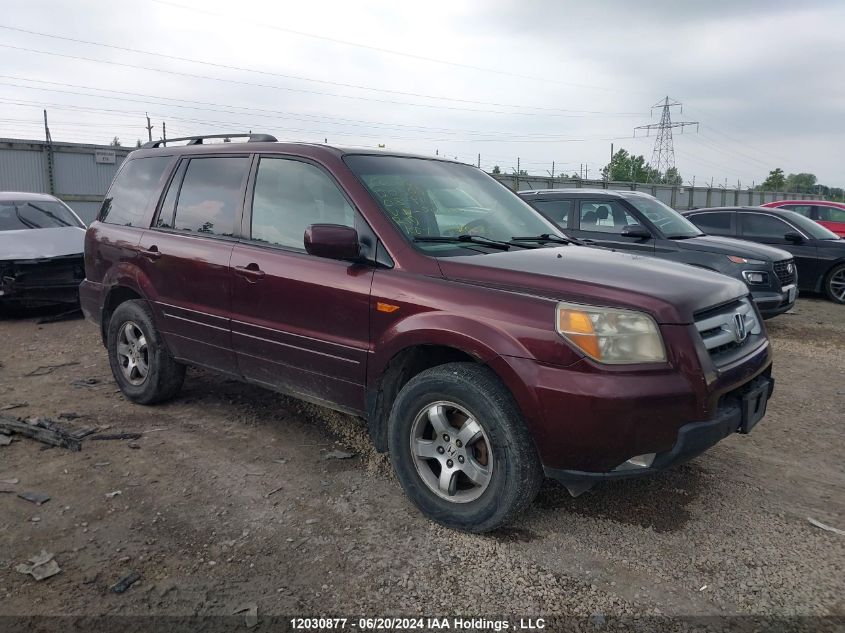 2008 Honda Pilot VIN: 5FNYF18678B501562 Lot: 12030877