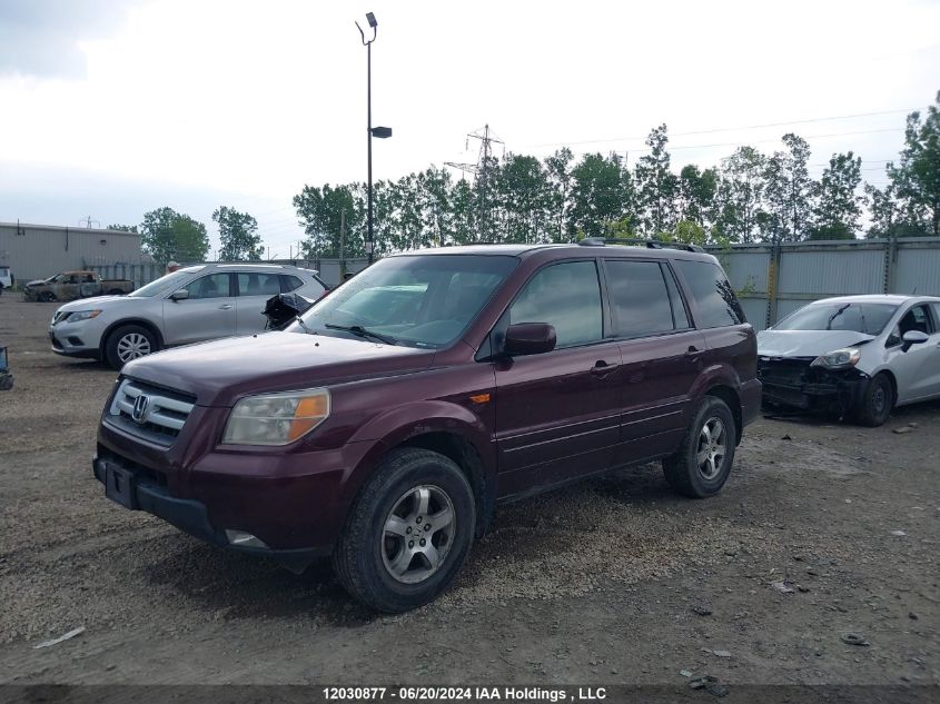 2008 Honda Pilot VIN: 5FNYF18678B501562 Lot: 12030877