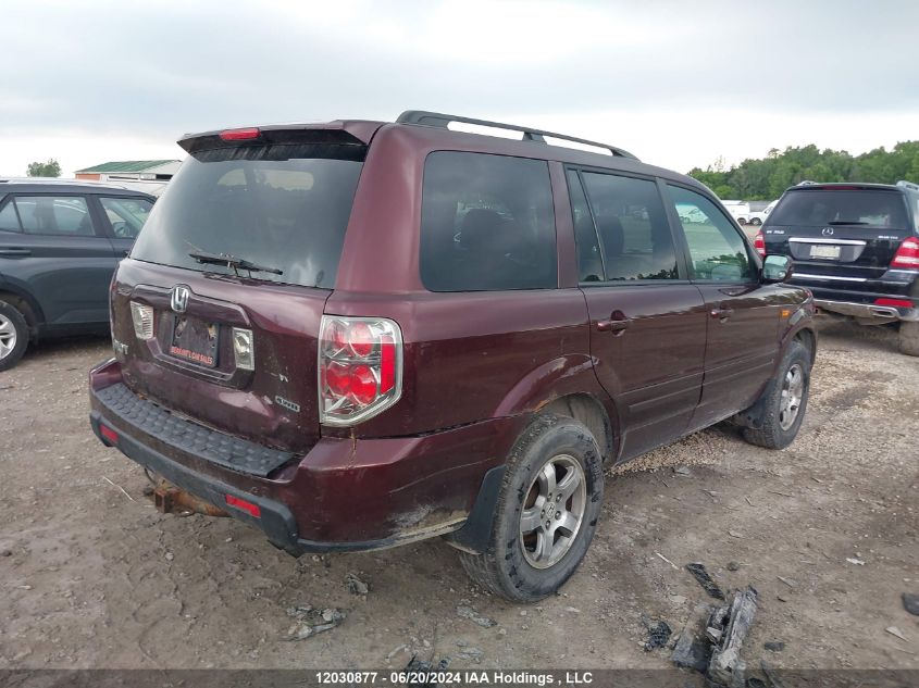 2008 Honda Pilot VIN: 5FNYF18678B501562 Lot: 12030877