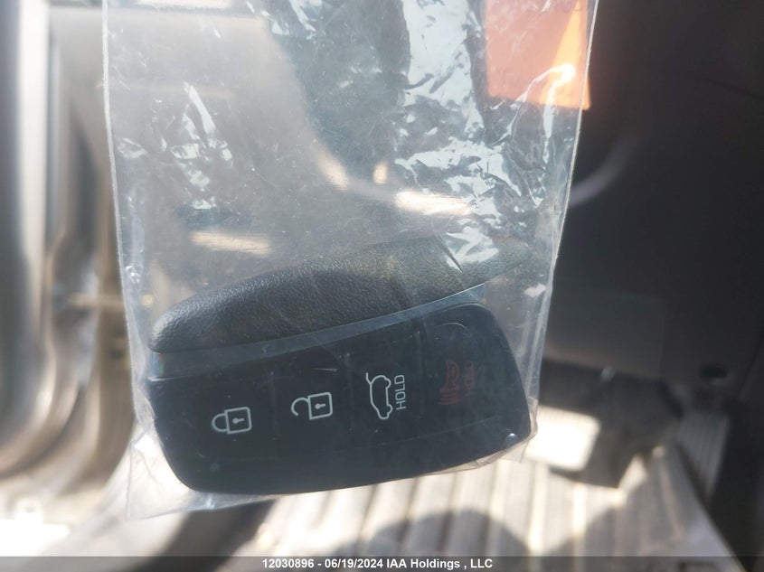 2017 Hyundai Santa Fe Sport 2.4 Luxury VIN: 5NMZUDLB8HH038779 Lot: 12030896