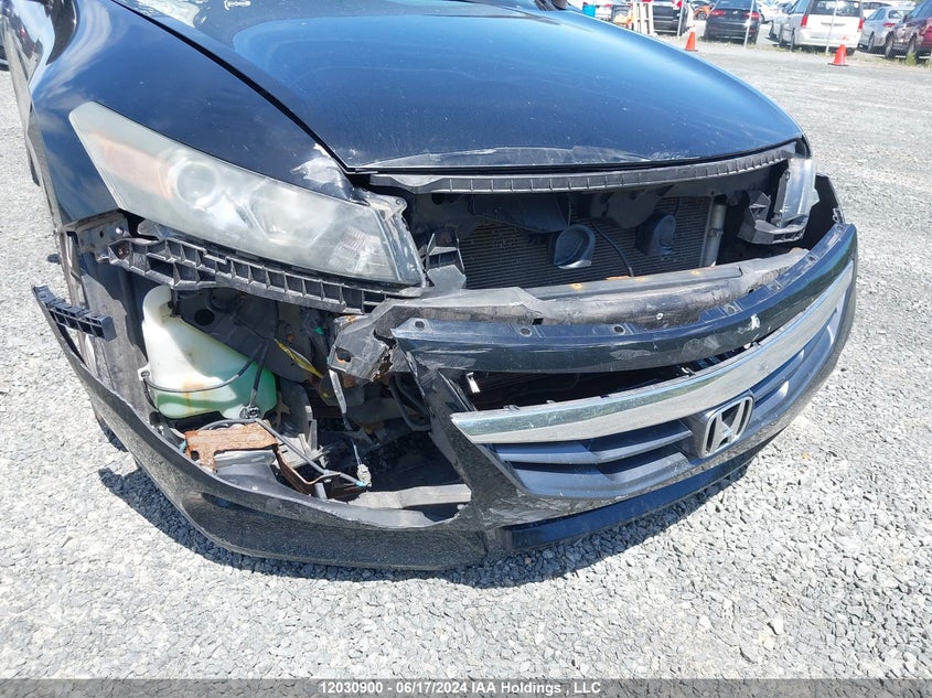 2011 Honda Accord Cpe VIN: 1HGCS1B81BA800014 Lot: 12030900