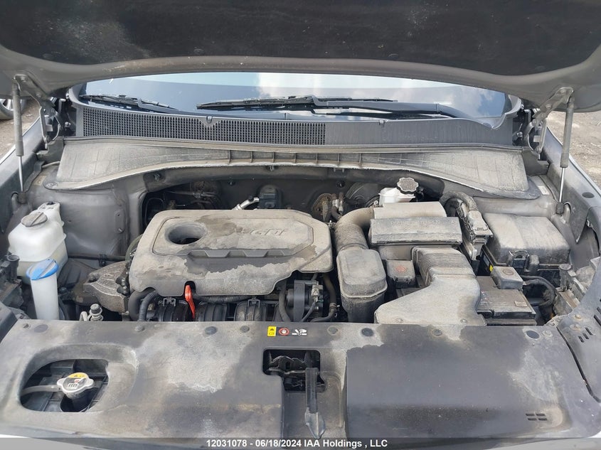 2019 Kia Sorento VIN: 5XYPGDA3XKG548773 Lot: 12031078