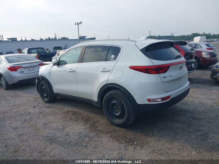 2017 Kia Sportage VIN: KNDPMCAC9H7288410 Lot: 12031089