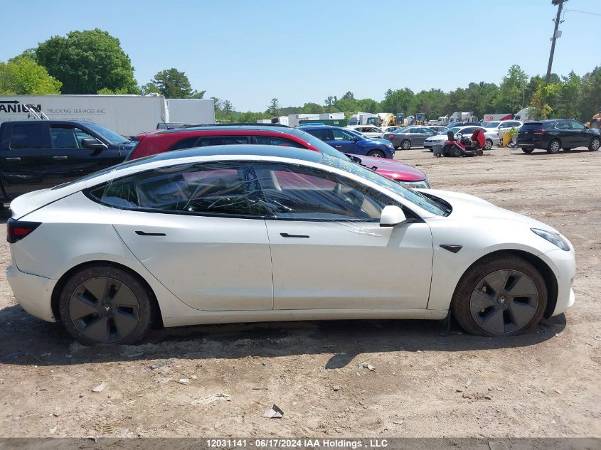 2021 Tesla Model 3 VIN: 5YJ3E1EB1MF855201 Lot: 12031141