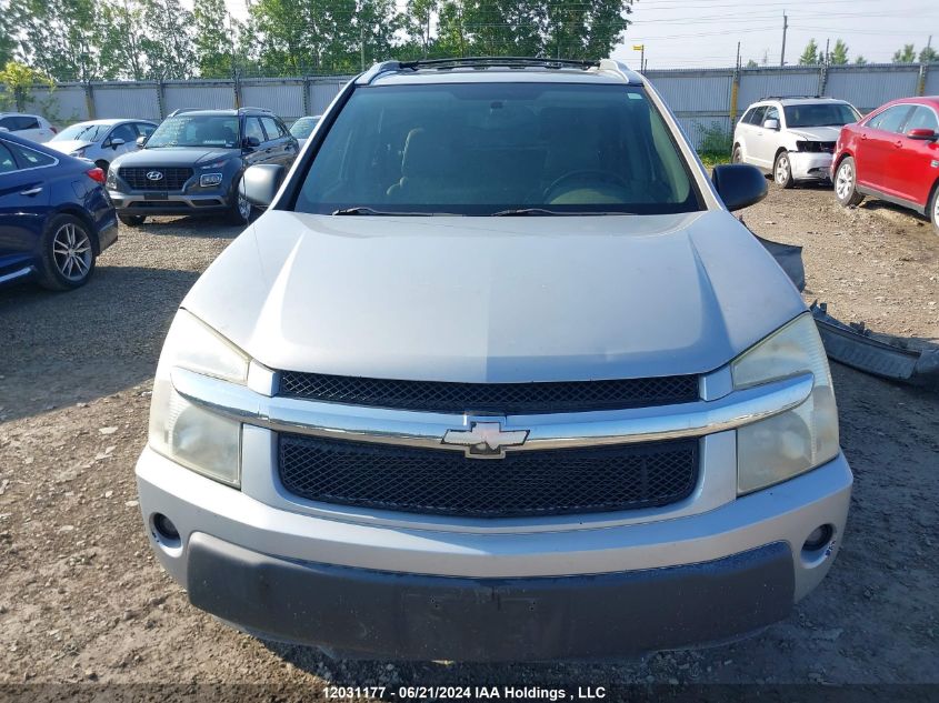 2005 Chevrolet Equinox VIN: 2CNDL63F956199524 Lot: 12031177