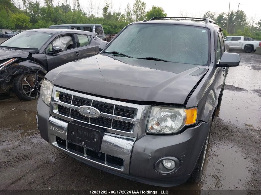 2011 Ford Escape Limited VIN: 1FMCU9EG6BKB76050 Lot: 12031202