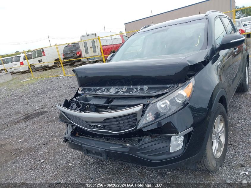 2011 Kia Sportage VIN: KNDPBCA23B7092631 Lot: 12031256