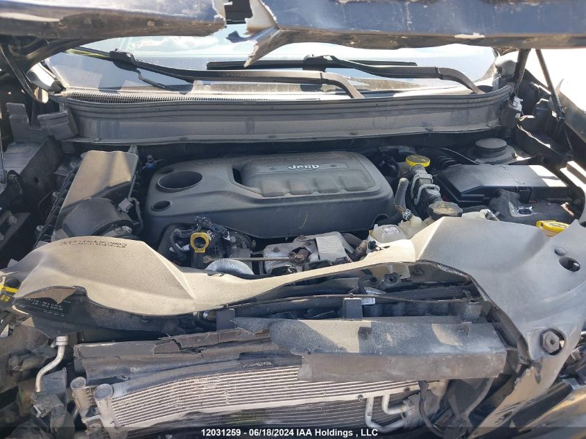 2019 Jeep Cherokee Trailhawk VIN: 1C4PJMBN1KD276999 Lot: 12031259