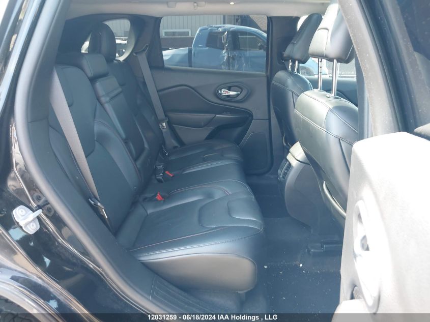 2019 Jeep Cherokee Trailhawk VIN: 1C4PJMBN1KD276999 Lot: 12031259