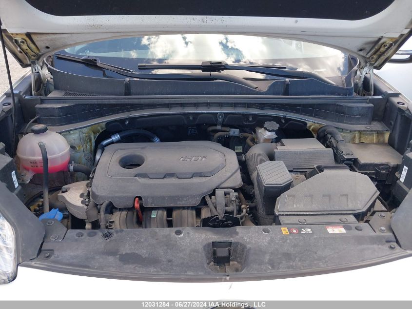 2021 Kia Sportage VIN: KNDPMCAC7M7896260 Lot: 12031284