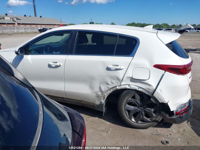 2021 Kia Sportage VIN: KNDPMCAC7M7896260 Lot: 12031284