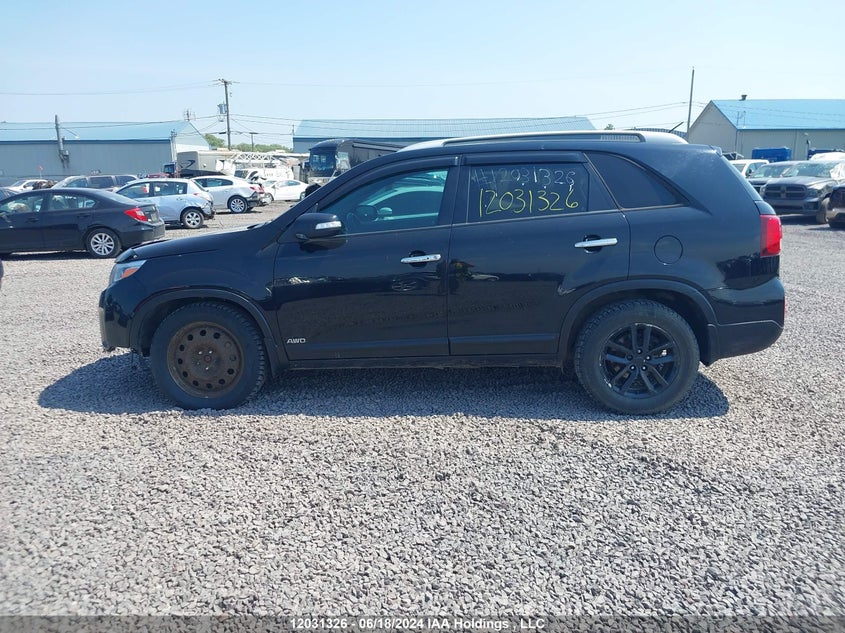 2015 Kia Sorento VIN: 5XYKTDA72FG572435 Lot: 12031326