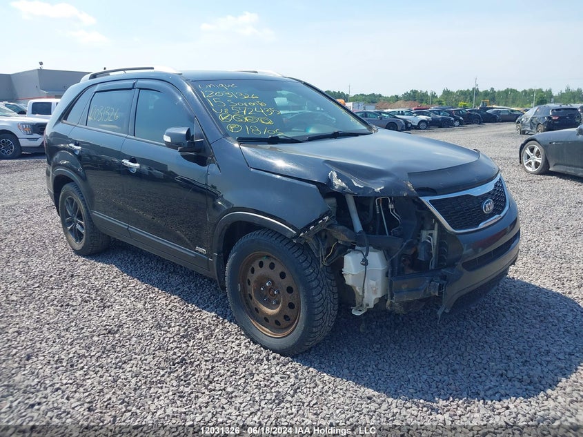 2015 Kia Sorento VIN: 5XYKTDA72FG572435 Lot: 12031326