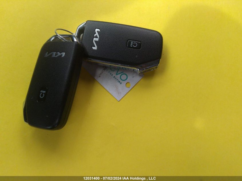 2022 Kia Sorento VIN: 5XYRGDLC4NG119798 Lot: 12031400