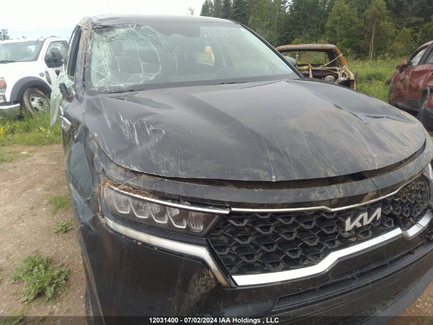 2022 Kia Sorento VIN: 5XYRGDLC4NG119798 Lot: 12031400