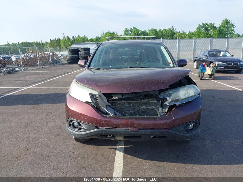 2014 Honda Cr-V VIN: 2HKRM4H56EH124982 Lot: 12031436